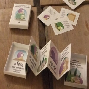 Salyangozun Arkadaşı