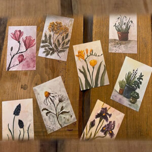 Sümeyra T. Demir resimleri 8 adet kartpostal